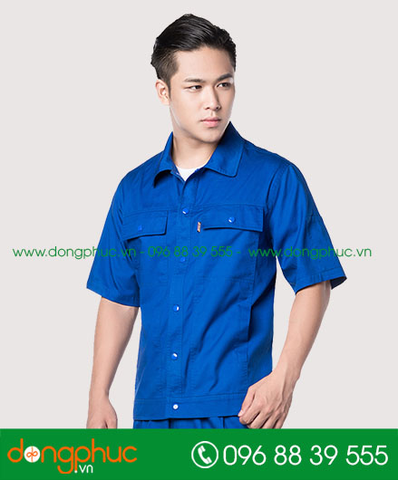 Mẫu bảo hộ màu xanh bích